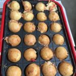 低糖質！プロテインたこ焼き